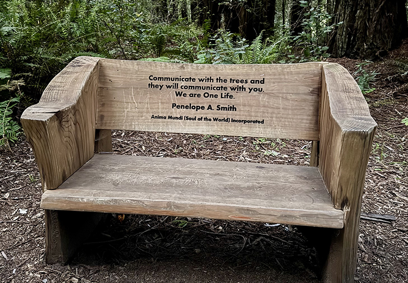 Bench