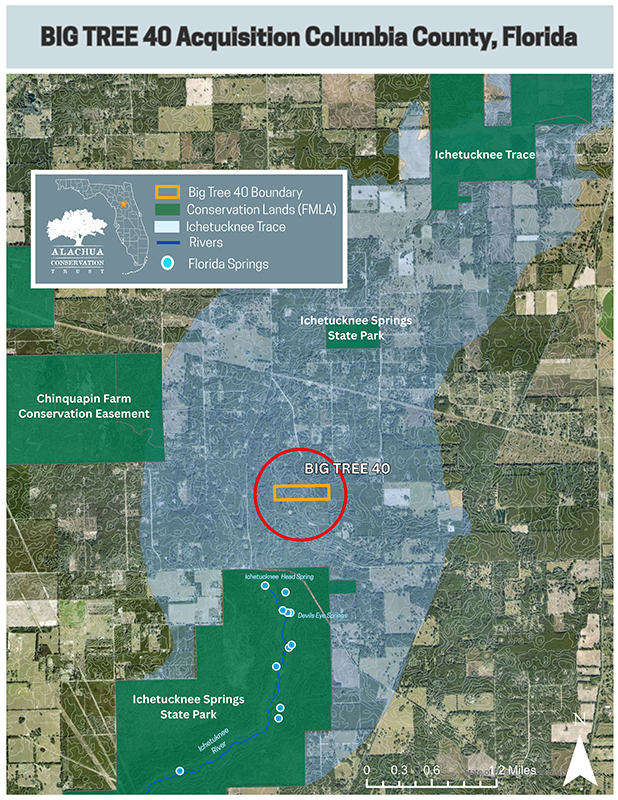 POTENTIAL PROJECT MAPS - 11