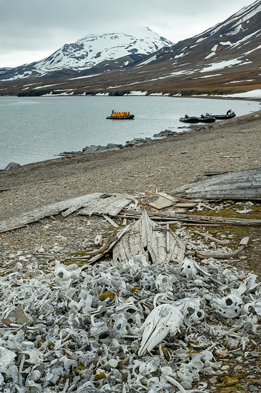 Remnants of whaling in Bamsebu, Vårsolbukta, Photo_ Stephen Bradley-w