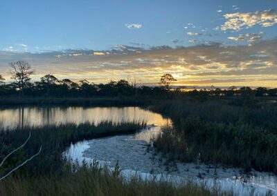 Dog Island Preserve