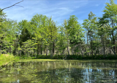 East Fork Wetlands Preserve