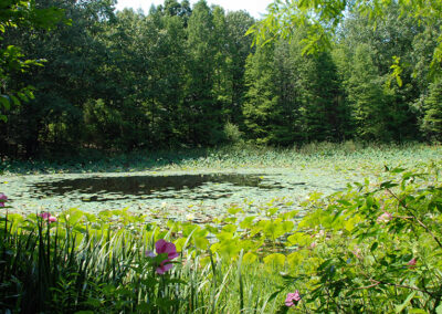 McCalla’s Woods — Pam McCalla Addition