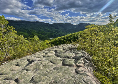 Warbler Ridge Preserve