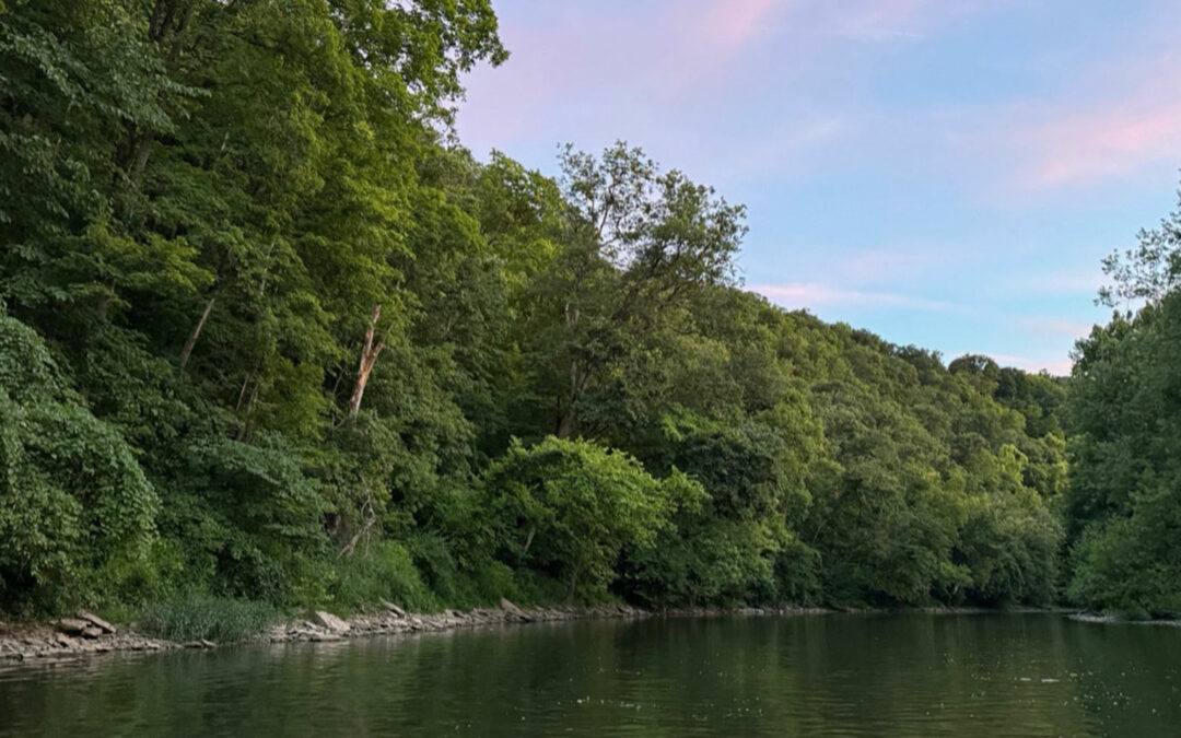 Sulphur Lick at Elkhorn Creek Conservation Easement