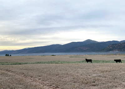 Jette Farm Grass Valley Conservation Easement