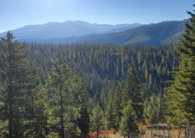 Clark Creek Project
