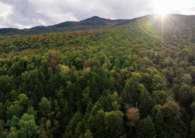 Mountain Brooks Wilderness Preserve