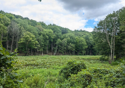 Singer Lake Bog Preserve Expansion