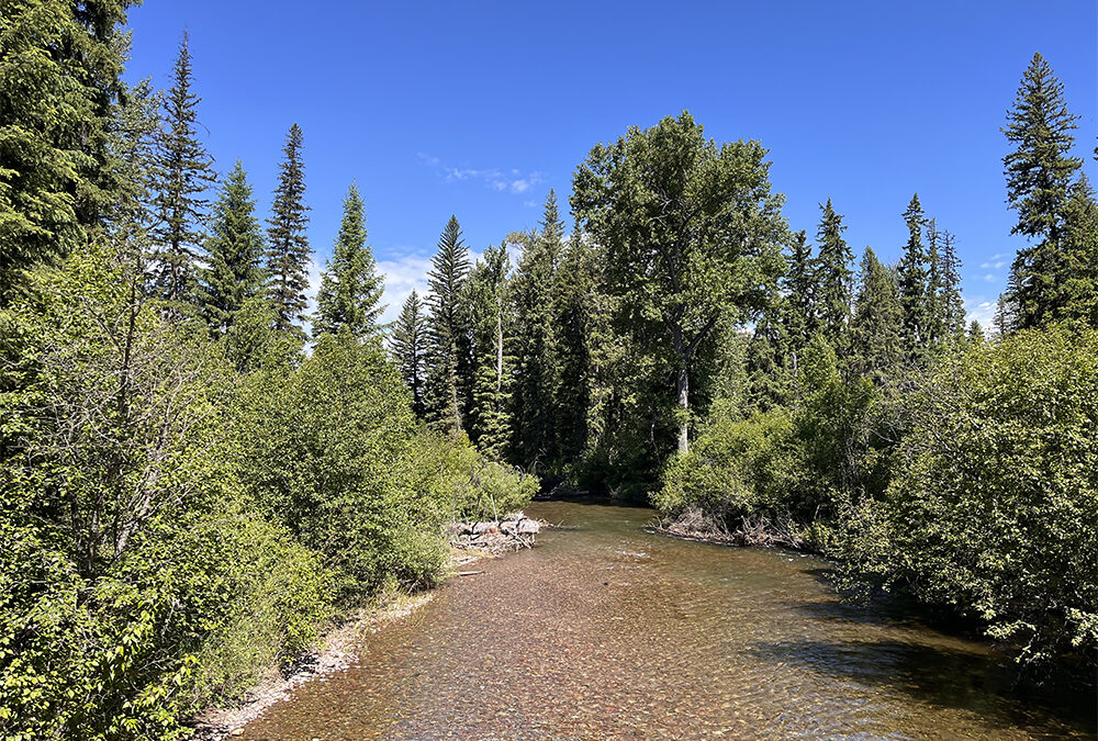 The Montana Land Reliance Stowell Property