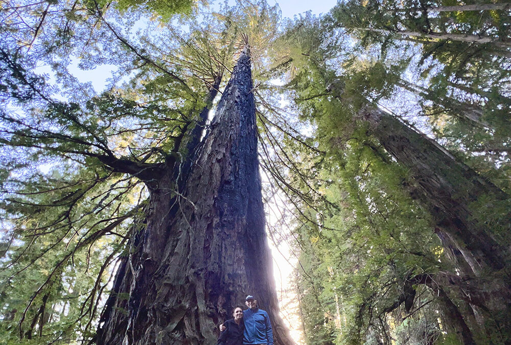 Local Land Conservation Is More Important than Ever