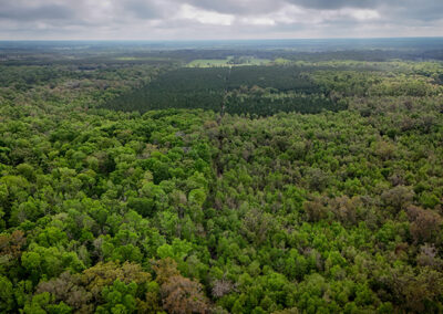 Kathy Schuster Memorial Preserve