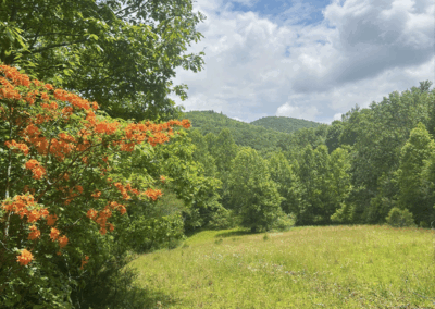 Slickens Creek