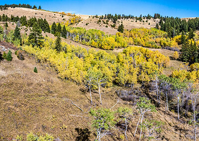 Anderson Ranch