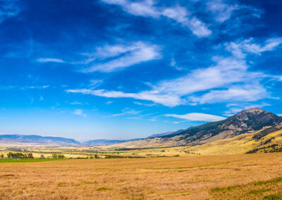 Warfield Ranch