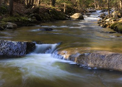 Spruce Ridge Wilderness Preserve