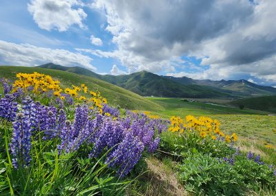 Hailey Hot Springs Ranch Acquisition