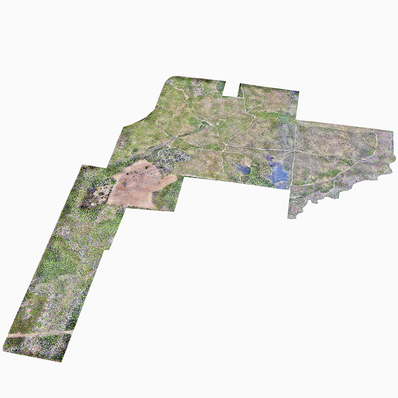 Jordan Oblique Scene-w