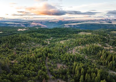 Klickitat Oaks, Phase 1