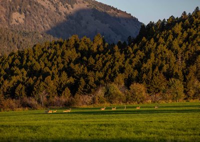 Nickelson Family Ranch Conservation Easement