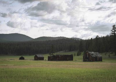 Case River Conservation Easement
