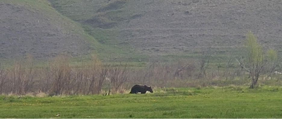 Teton River Conservation Easement_Photo Mitch Doherty-w