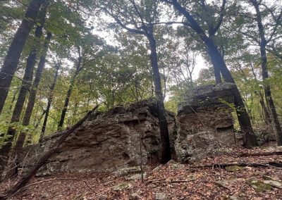 The Green Mountain River to the Gap Conservation Area — Reed Acquisition