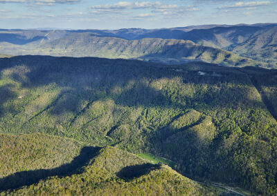 Weinberg Addition to Hurricane Gap Preserve