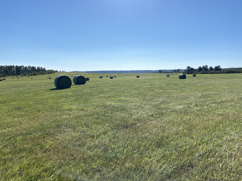 EllsburyDiamondERanch-conservation-management-WYSGTL-w