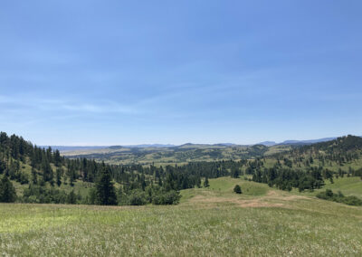 Ellsbury Diamond E Ranch Conservation Easement