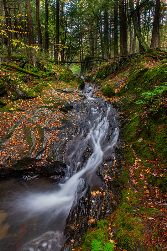 Muddy Moose-stream-w